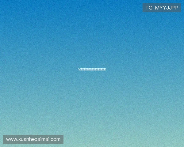 V站手游官网最新动态与独家情报全解析